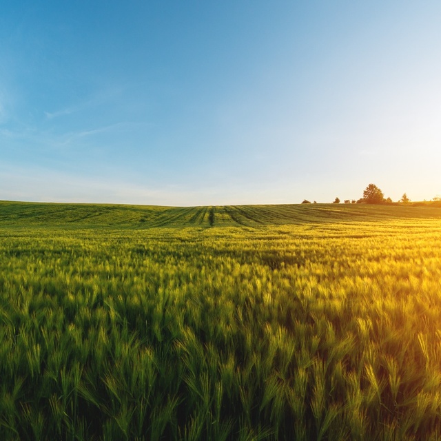 QEMETICA Agricultural Solutions Deutschland GmbH