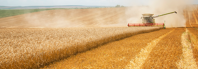 Silica Carriers for Agricultural and Industrial Chemical Applications